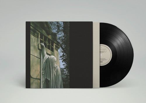 Dead Can Dance: Within The Realm Of A Dying Sun [ Vinyl ]