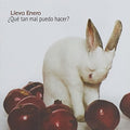 Lleva Enero: Que Tan Mal Puedo Hacer - CD