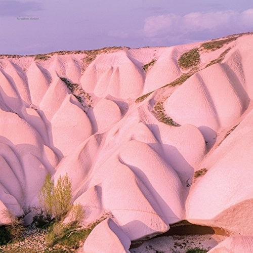Autechre: Amber [ Vinyl ]
