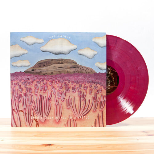 Post Animal: When I Think Of You In A Castle ( [ Vinyl ]