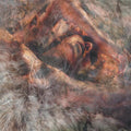 Converge: Unloved and Weeded Out - CD