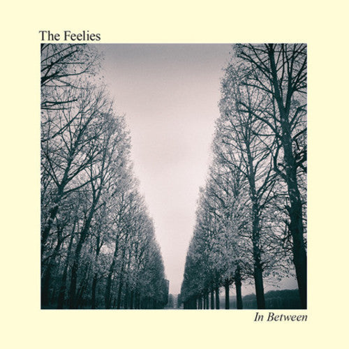 The Feelies: In Between [ Vinyl ]