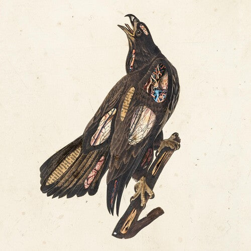Clutch: Book Of Bad Decisions [ Vinyl ]