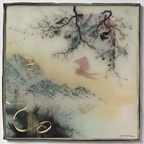 Novo Amor: Birthplace [ Vinyl ]