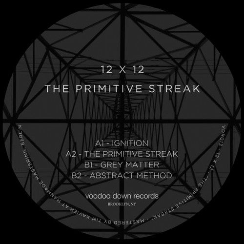 12 X 12: The Primitive Streak  / Vinyl Record
