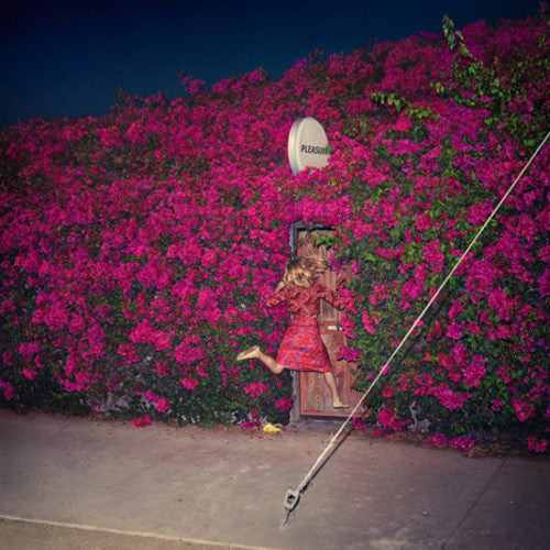 Feist: Pleasure [ Vinyl ]