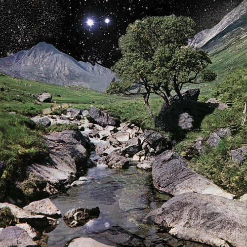The Beta Band: The Beta Band [ Vinyl ]