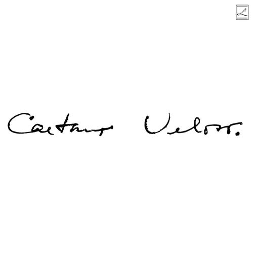 Caetano Veloso: Irene [ Vinyl ]