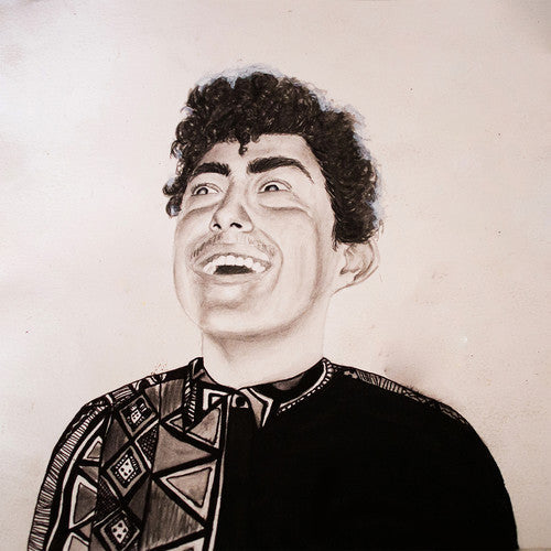 Hobo Johnson: Rise Of Hobo Johnson [ Vinyl ]