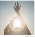 Alcest: Shelter [ Vinyl ]