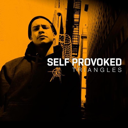 Self Provoked: Triangles [ Vinyl ]