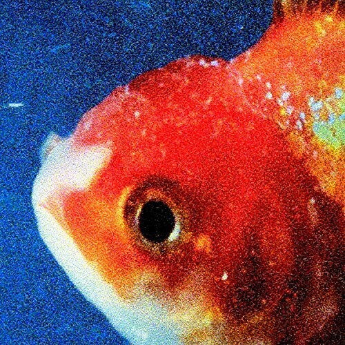 Vince Staples: Big Fish Theory [ Vinyl ]