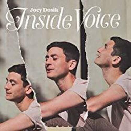 Joey Dosik: INSIDE VOICE [ Vinyl ]