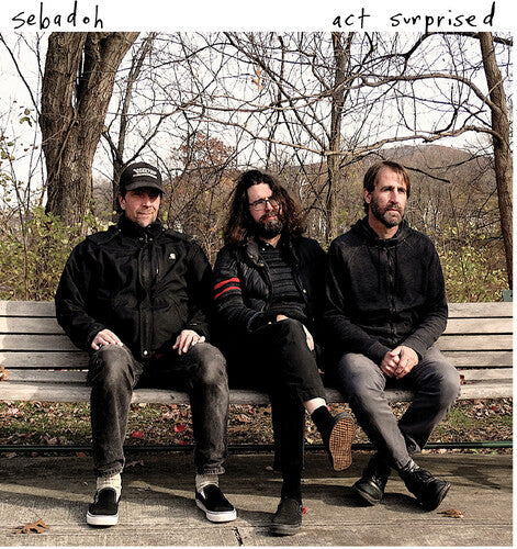 Sebadoh: Act Surprised [ Vinyl ]
