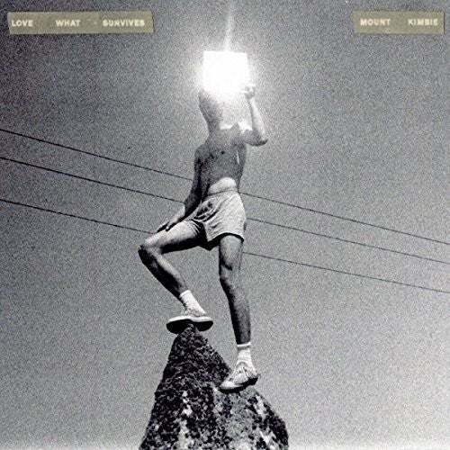 Mount Kimbie: Love What Survives [ Vinyl ]