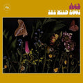 Ae3 (Alan Evans Trio): The Wild Root - CD