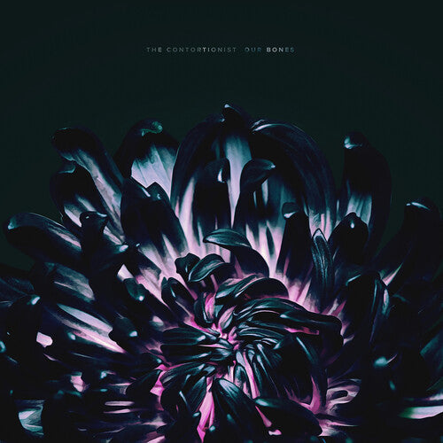 The Contortionist: Our Bones [ Vinyl ]