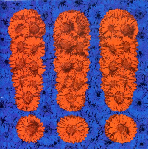!!!: !!! - Compact Disc