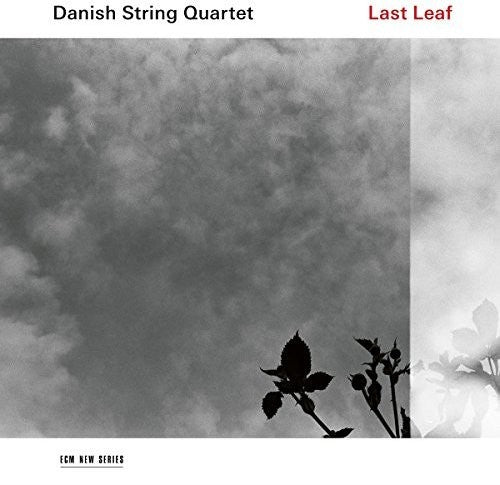 Danish String Quartet: Last Leaf - Compact Disc