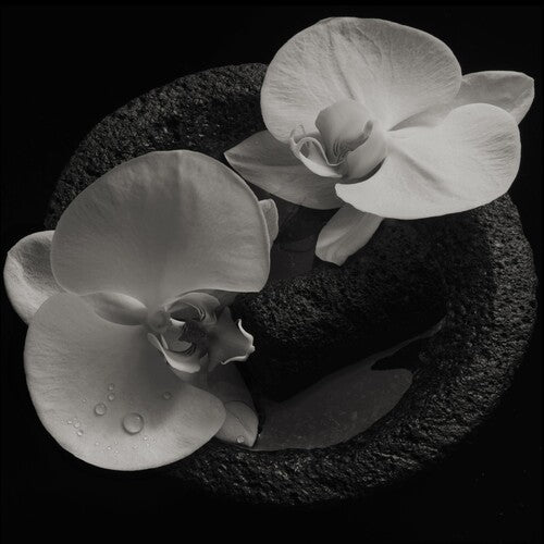 Mike Patton: Corpse Flower [ Vinyl ]