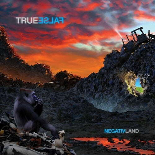 Negativland: True False [ Vinyl ]