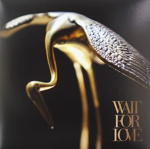Pianos Become the Teeth: Wait For Love [ Vinyl ]