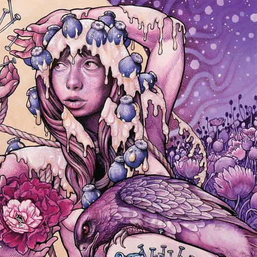 Baroness: Try To Disappear [ Vinyl ]
