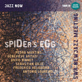 Various Artists: Spider's Egg - CD