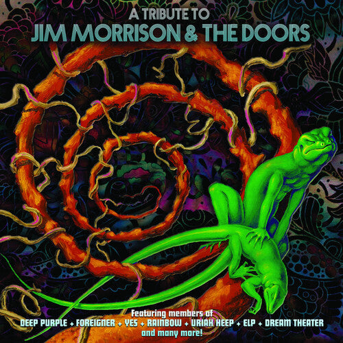 Various Artists: A Tribute To Jim Morrison & The Doors (Various Artists) [ Vinyl ]