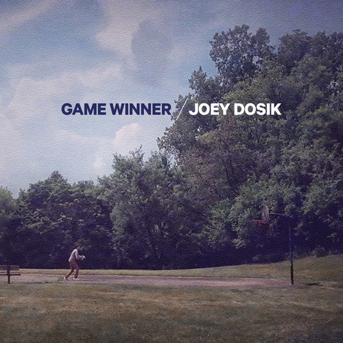 Joey Dosik: Game Winner [ Vinyl ]