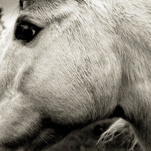 Bonny Light Horseman: Bonny Light Horseman [ Vinyl ]