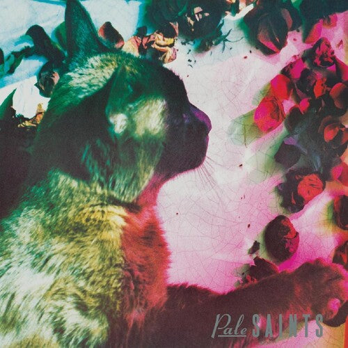 Pale Saints: Comforts Of Madness [ Vinyl ]