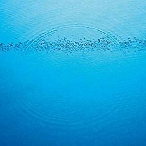 Caribou: Suddenly [ Vinyl ]
