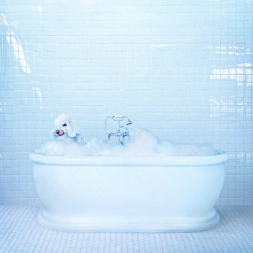 Frankie Cosmos: Vessel [ Vinyl ]