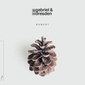 Gabriel & Dresden: Remedy [ Vinyl ]