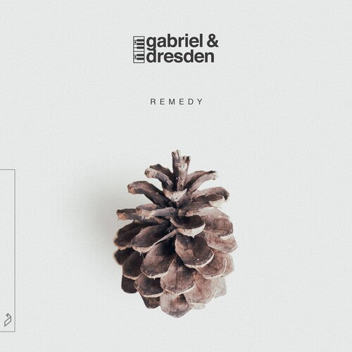 Gabriel & Dresden: Remedy [ Vinyl ]