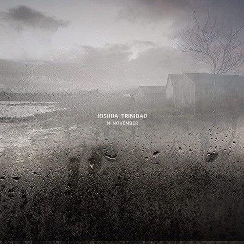 Joshua Trinidad: In November [ Vinyl ]