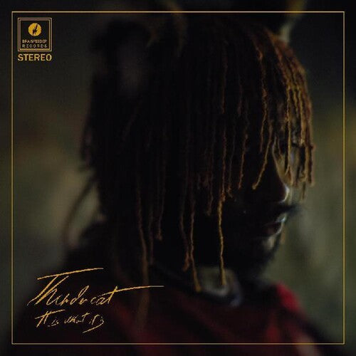 Thundercat: It Is What It Is [ Vinyl ]