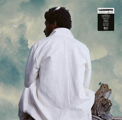 Labrinth: Imagination & The Misfit Kid [ Vinyl ]