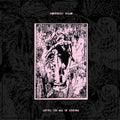 Raspberry Bulbs: Before The Age Of Mirrors - VINYL