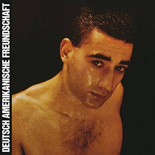 DAF: Alles Ist Gut [ Vinyl ]