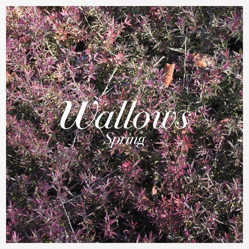 Wallows: Spring [ Vinyl ]