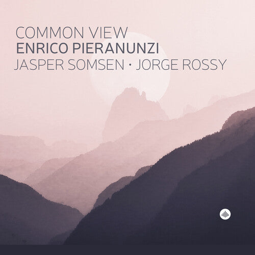 Various Artists: Common View - CD