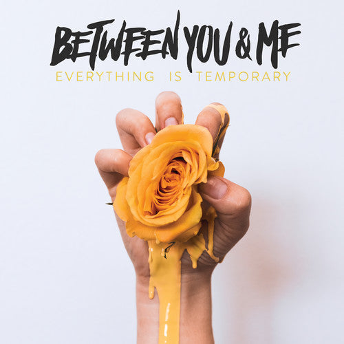 Between You & Me: Everything Is Temporary [ Vinyl ]