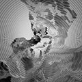 X-Altera: X-Altera  / Vinyl Record
