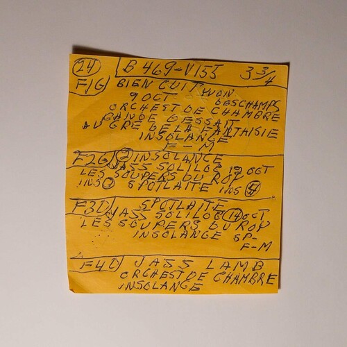 Mac DeMarco: Here Comes The Cowboy Demos [ Vinyl ]