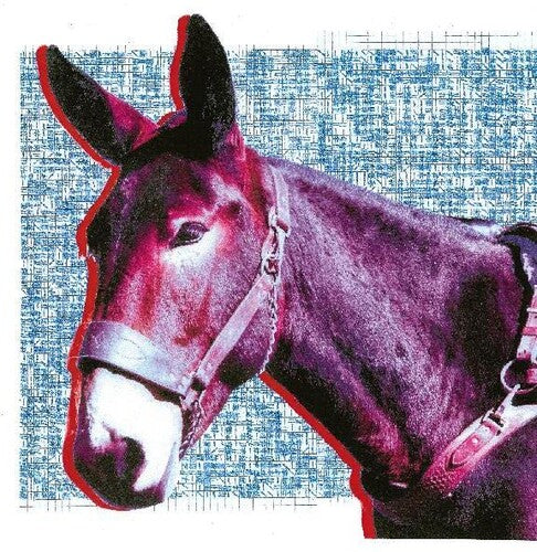 Protomartyr: Ultimate Success Today [ Vinyl ]