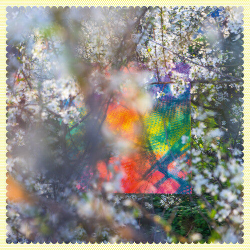 Four Tet: Sixteen Oceans [ Vinyl ]