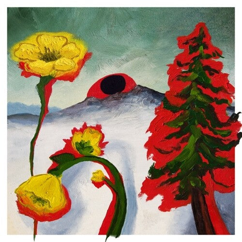 Woods: Strange To Explain [ Vinyl ]
