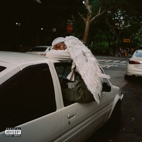 Blood Orange: Negro Swan [ Vinyl ]